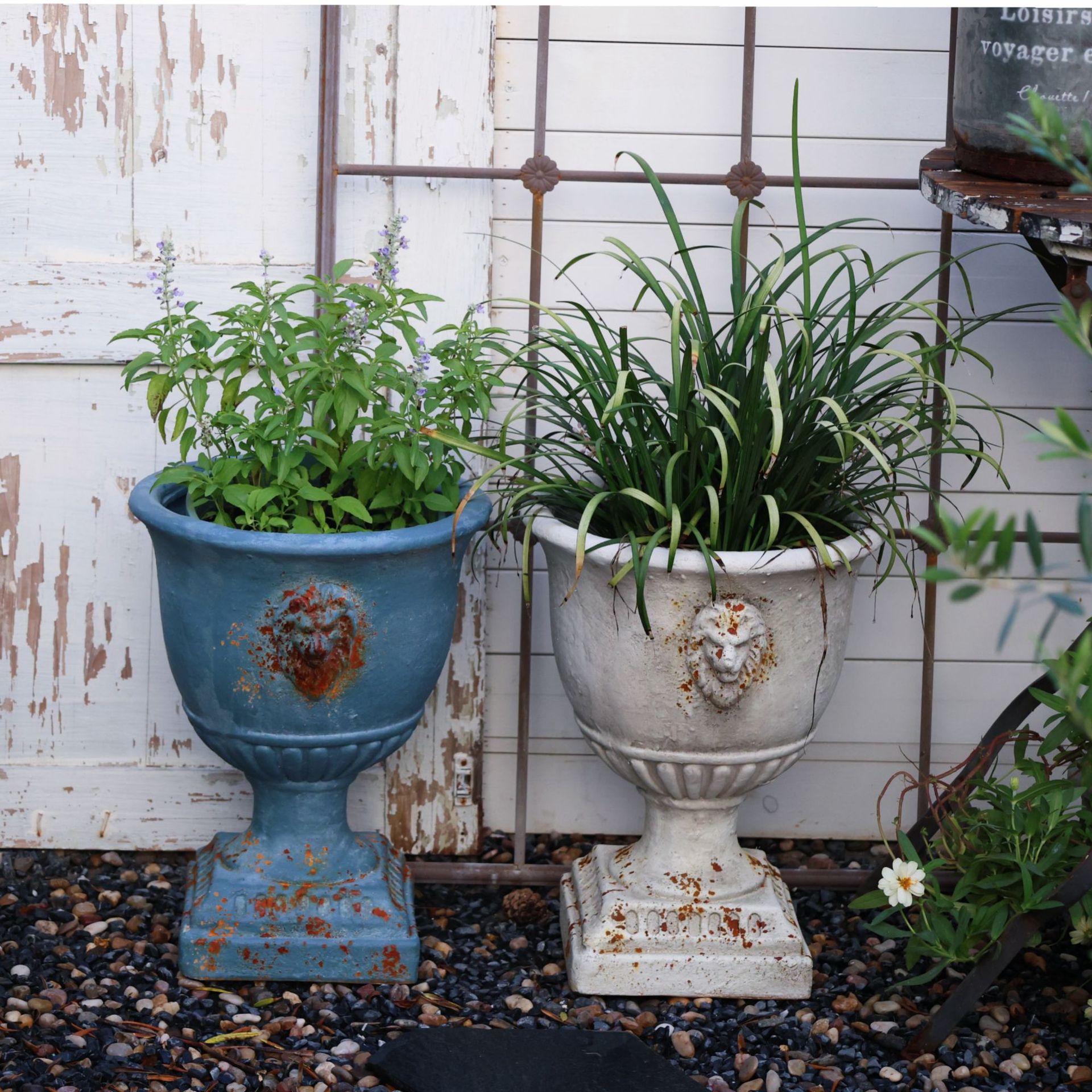 Classic Vintage Aged Lion Head Trophy Planter