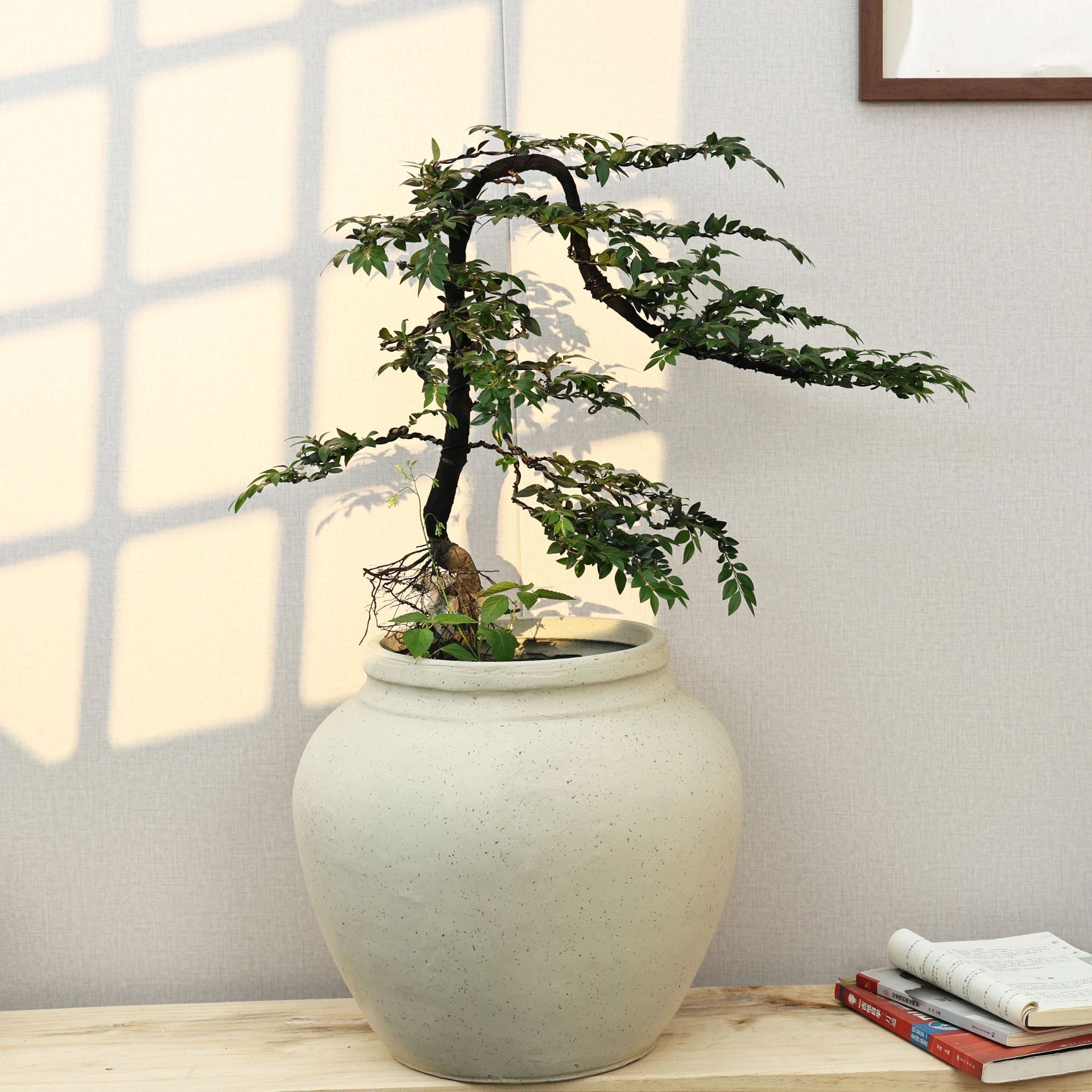 Modern Art Extra Large Green Plant Pots Japandi Magnesium Clay Flowerpot 